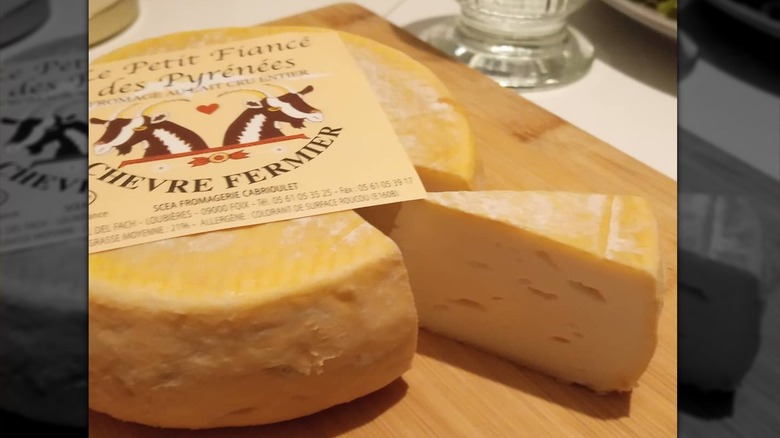 Le Petit Fiancé des Pyrenees