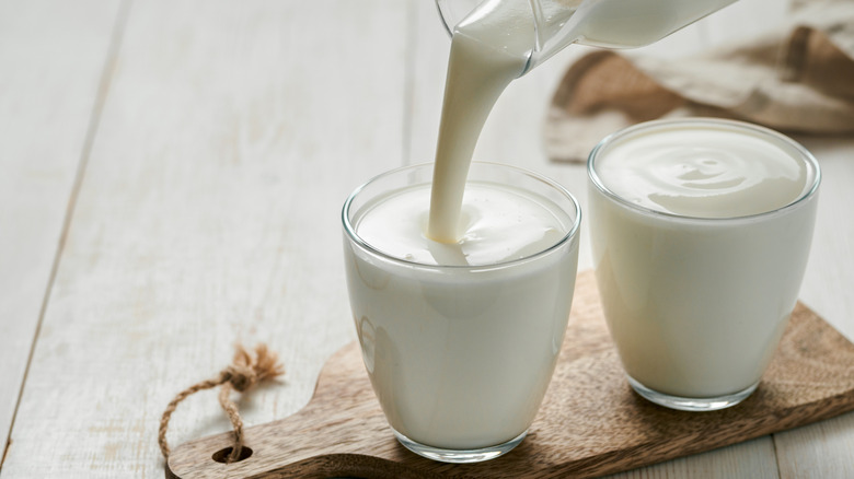 Two small glasses holding thick buttermilk.