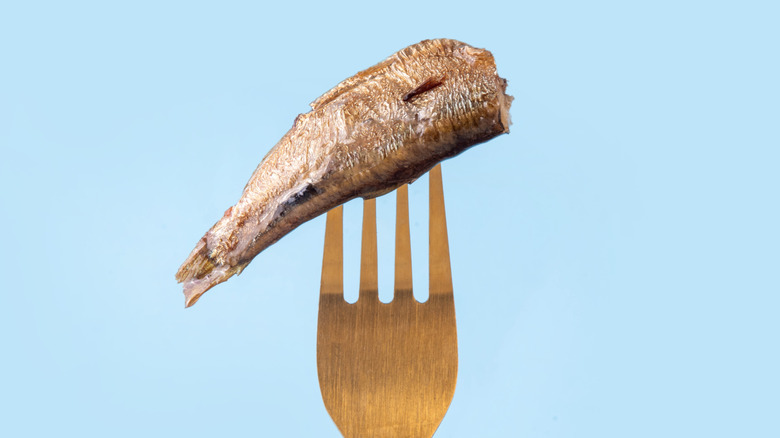 a piece of sardine on a fork against a blue background