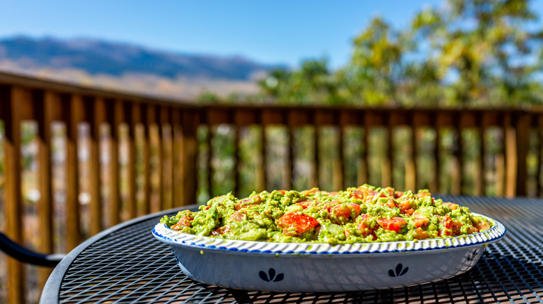 guacamole in view of a mountain