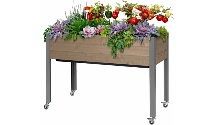 CedarCraft's self-watering elevated spruce planter