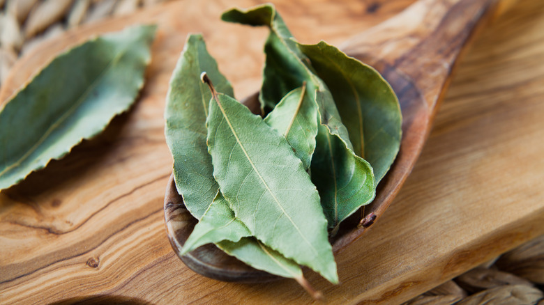 Bay leaves on a wooden spoon