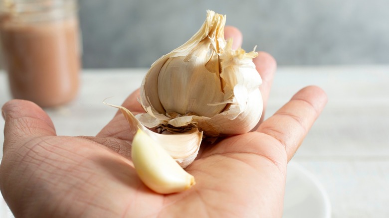 Person holding clove of garlic close up