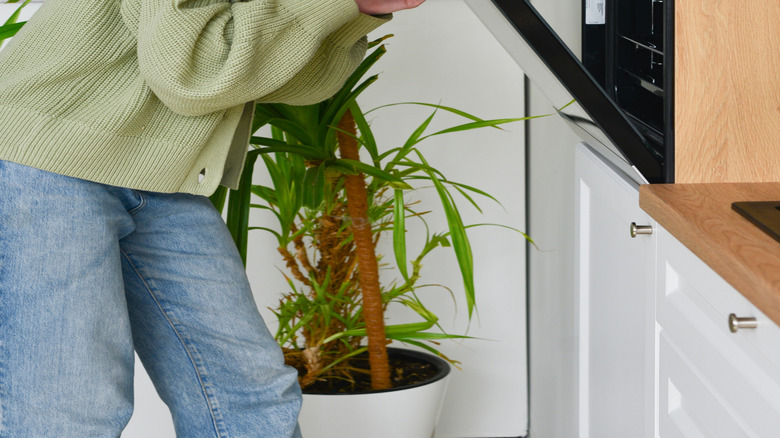 Woman peeks into the oven to check if the food is ready