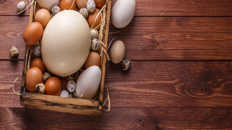 Eggs from different birds in a wooden box
