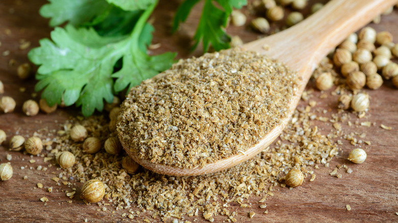A spoon of coriander powder, next to seeds and a sprig of cilantro