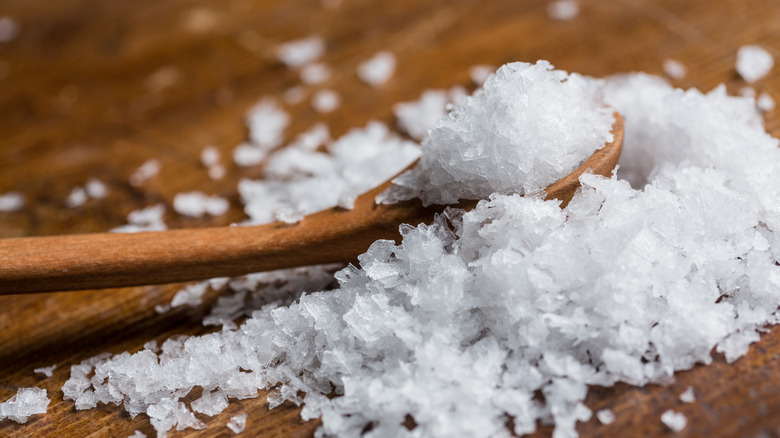 Wooden spoon with Maldon seat salt.