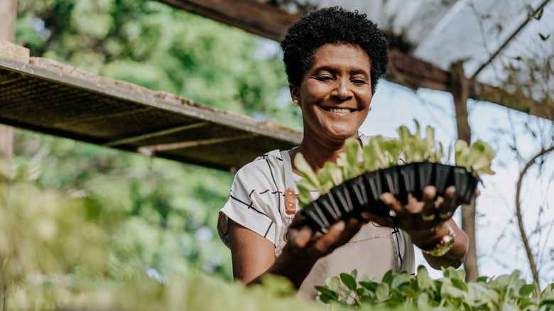 Happy and smiling woman growing vegetables