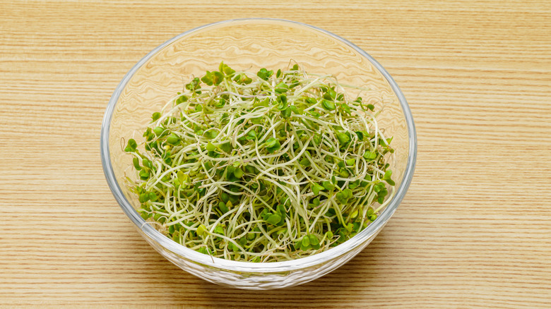 A bowl of broccoli sprouts on a wooden table