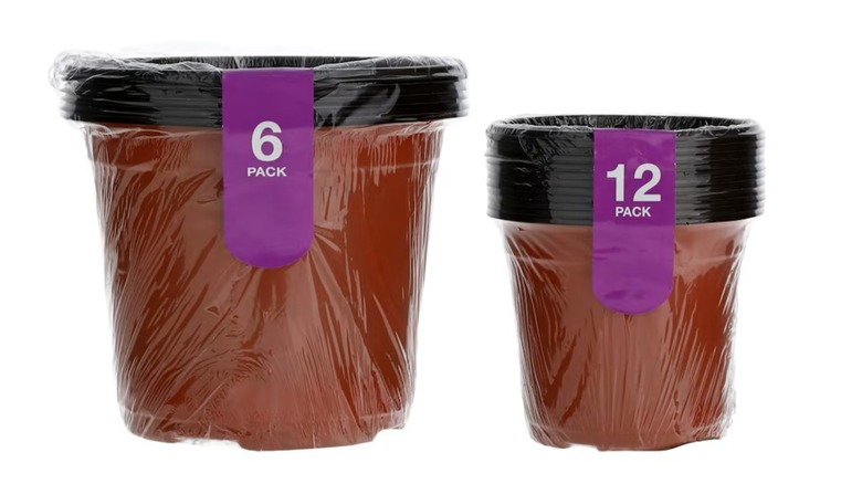 Terracotta Starter Pots