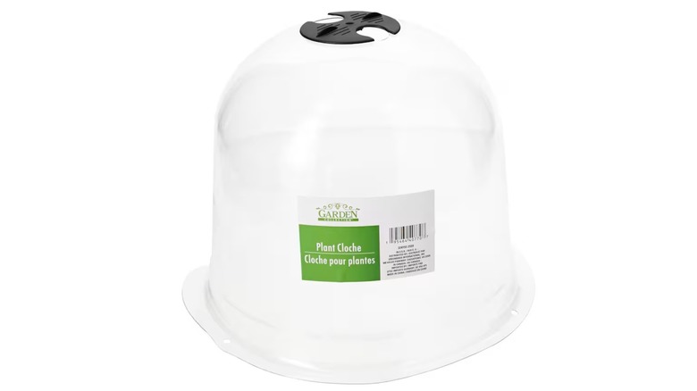 Garden Collection Bell Plant Protector