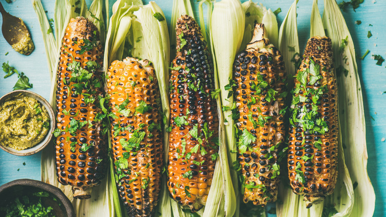 Grilled corn with herbs and pesto