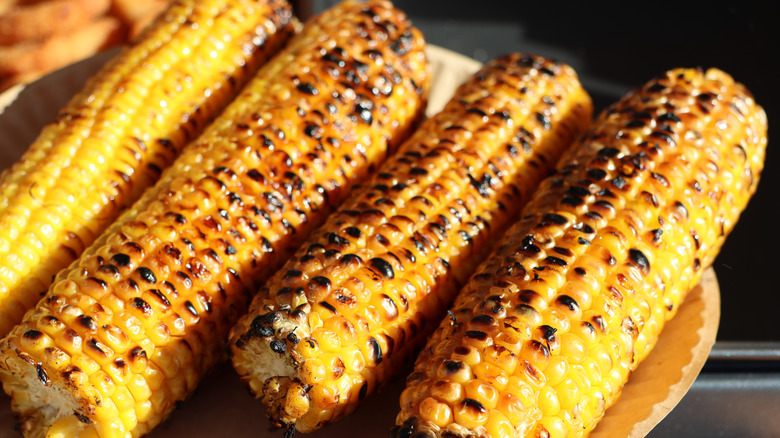 A plate of plain grilled corn on the cob