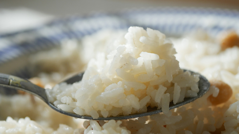 Spoonful of fluffy white rice