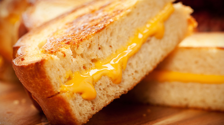 Close-up of a grilled cheese sandwich