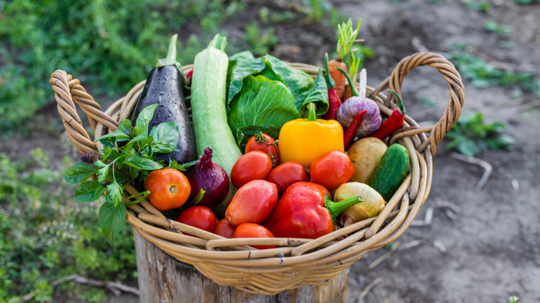 A basket of home-grown vegetables