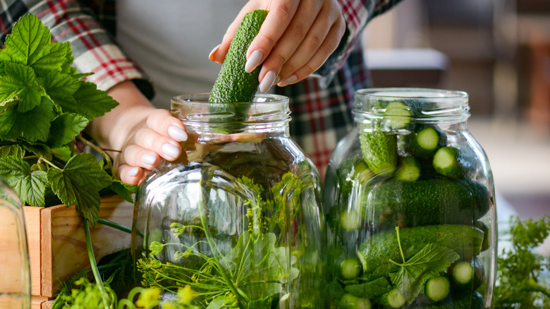 Woman pickling cucumbers