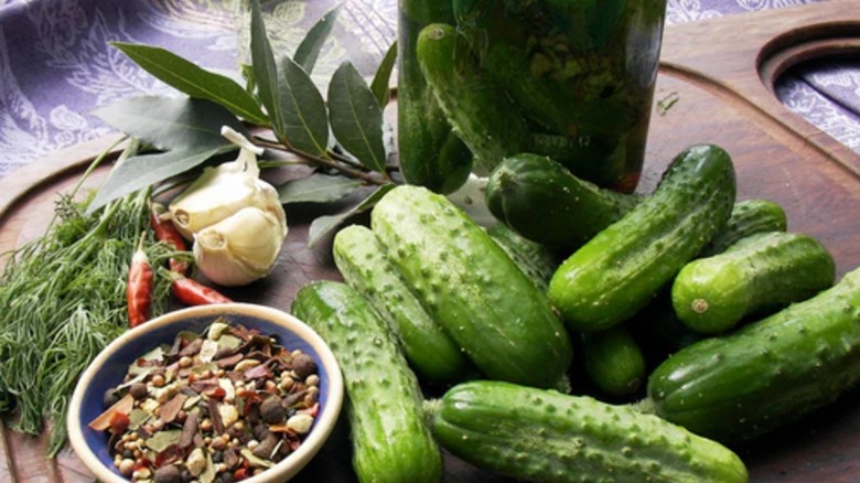 Kirby pickling cucumbers