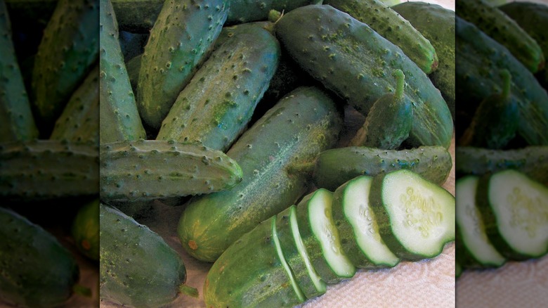 Snow's Fancy Pickling cucumbers