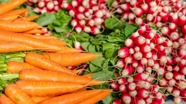Fresh radishes and carrots