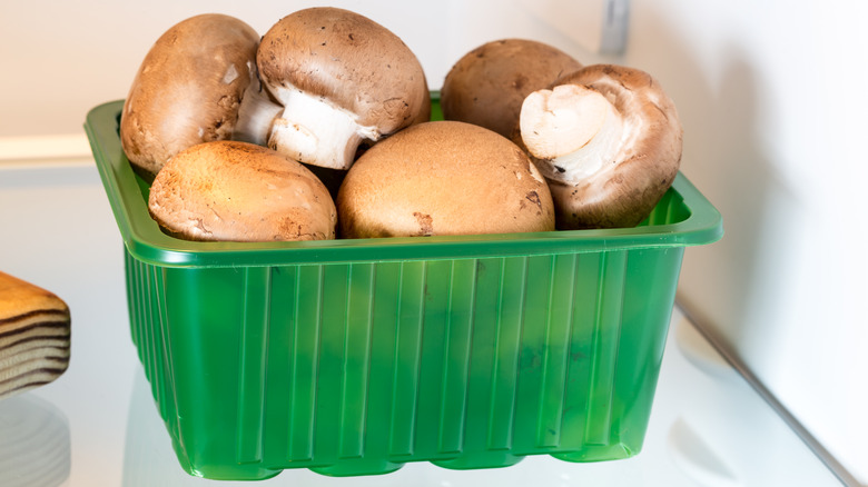 Mushrooms in container in fridge
