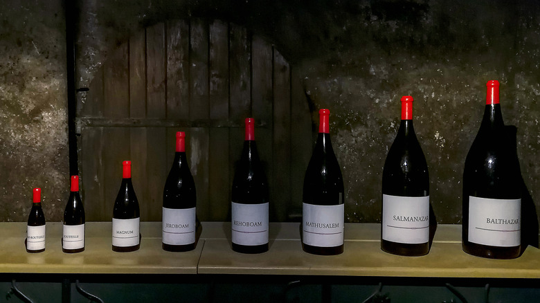 Different sizes of wine bottle