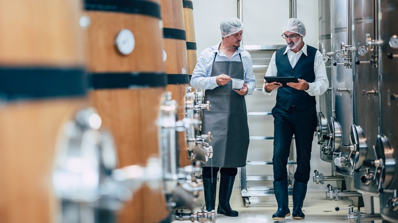 Modern winemakers at work