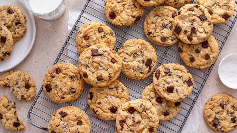 Fresh chocolate chip cookies on a cooling rack.