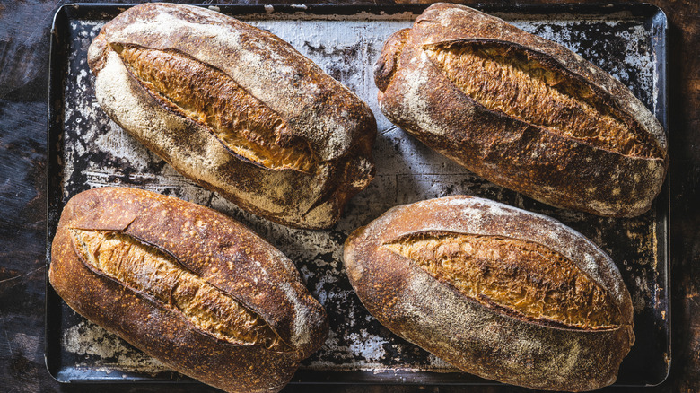 Four freshly baked sourdough bread loaves on a tray