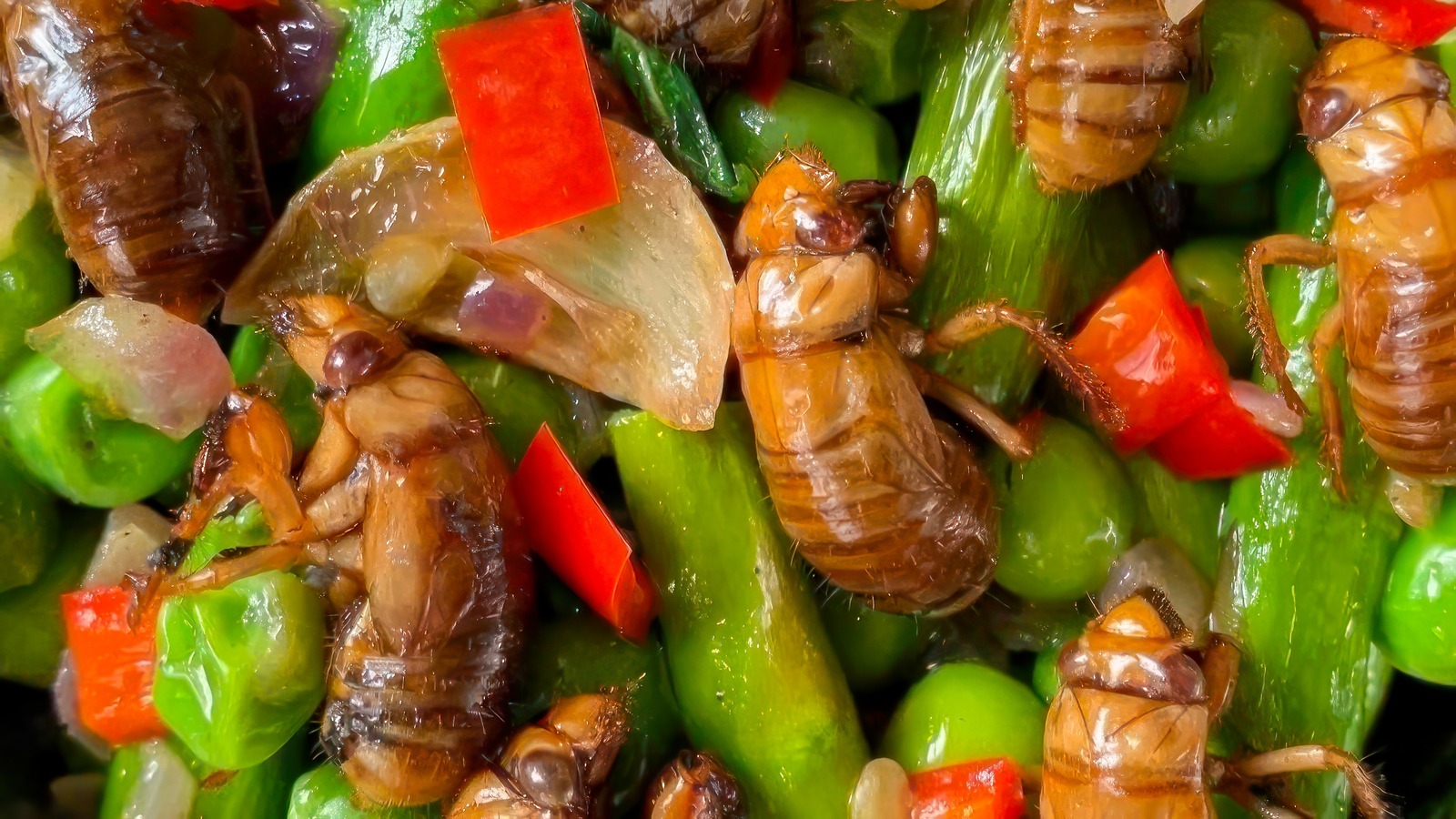 How To Eat And Prepare Cicadas