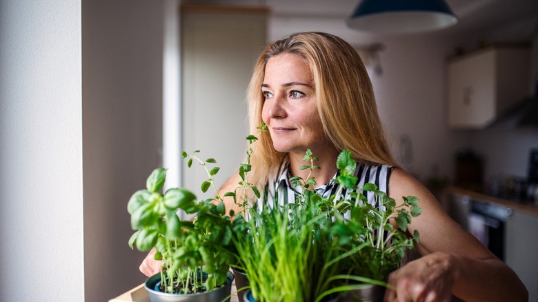 woman carries box of potted herbs indoors