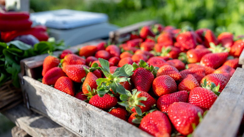 Strawberries in wood crate at farmers market stand