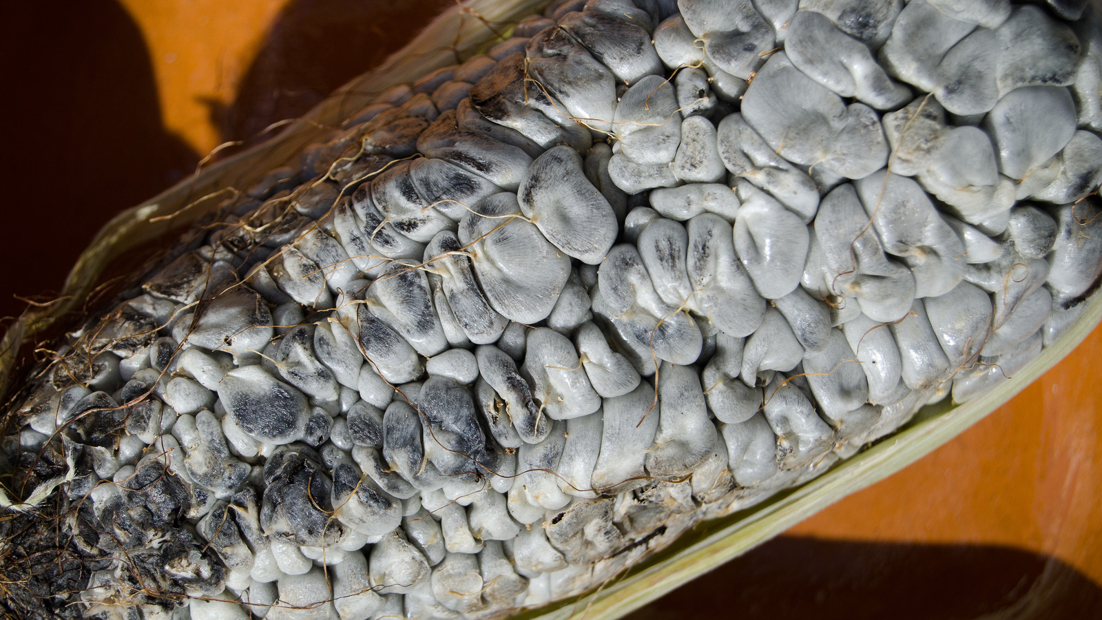 Huitlacoche The Corn Fungus You Should Be Cooking With More Often