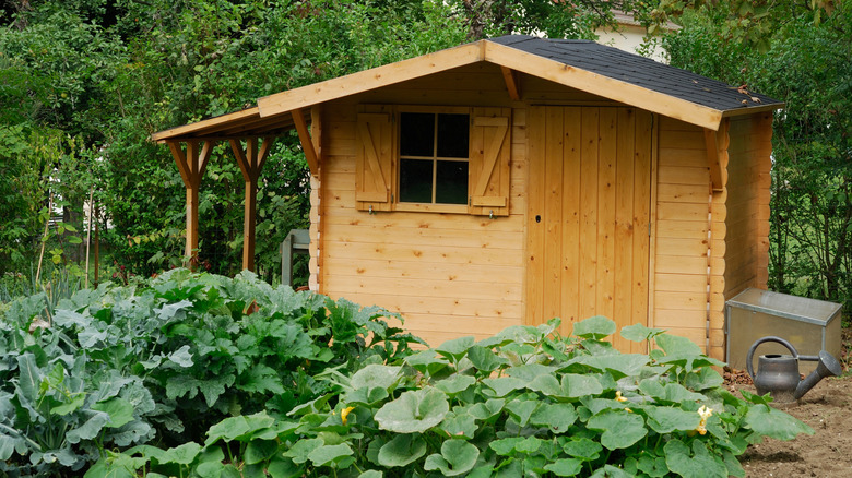 Wooden hut in a kitchen garden
