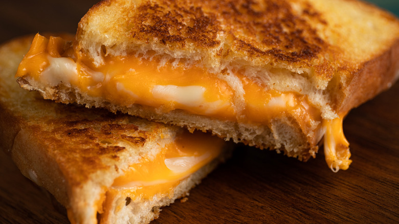 Close-up of a grilled cheese sandwich