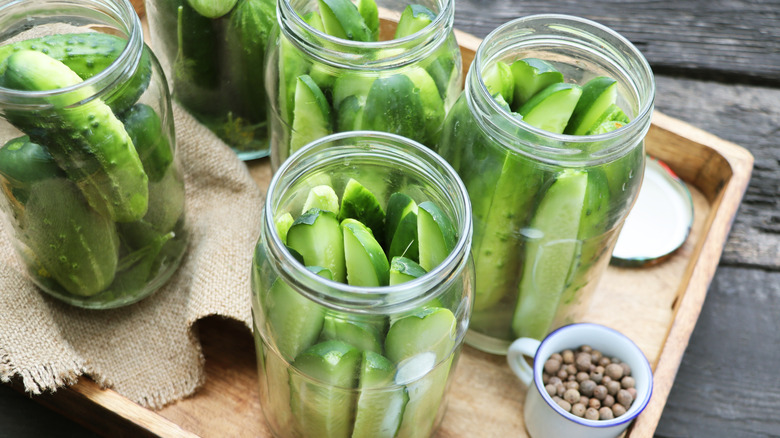 A set of glass jars filled with cucumbers and brine ready to become pickles