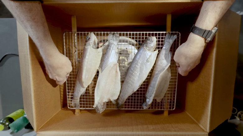 alton brown smokes fish with a cardboard box smoker