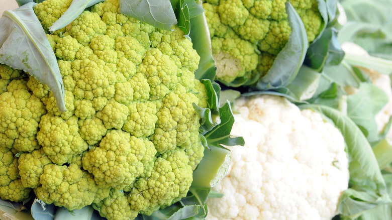 a green and white cauliflower
