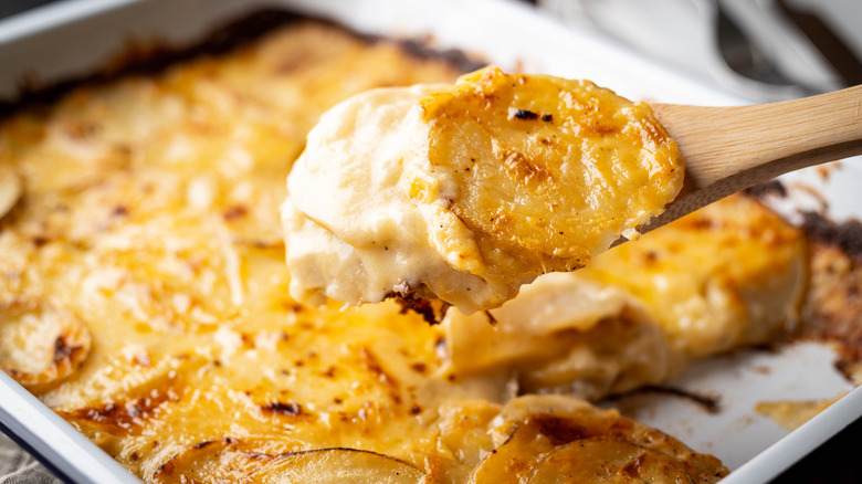 Creamy potatoes au gratin served with wooden spoon