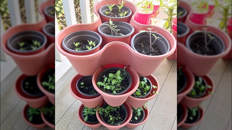 A stack of Dollar Tree's Garden Collection planters