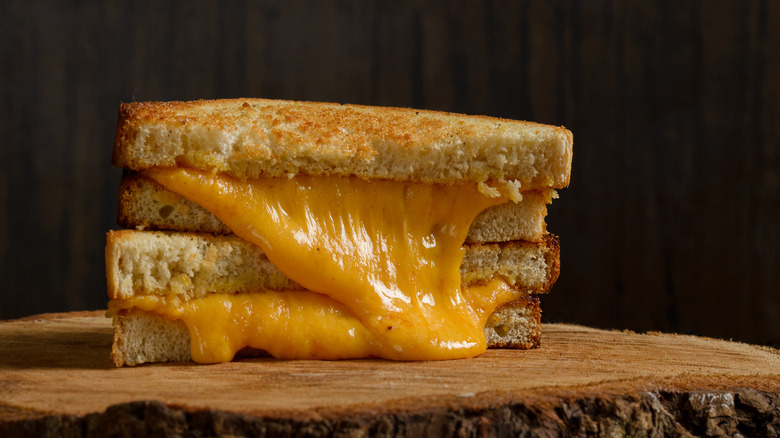 A gooey grilled cheese sandwich on a wooden stump