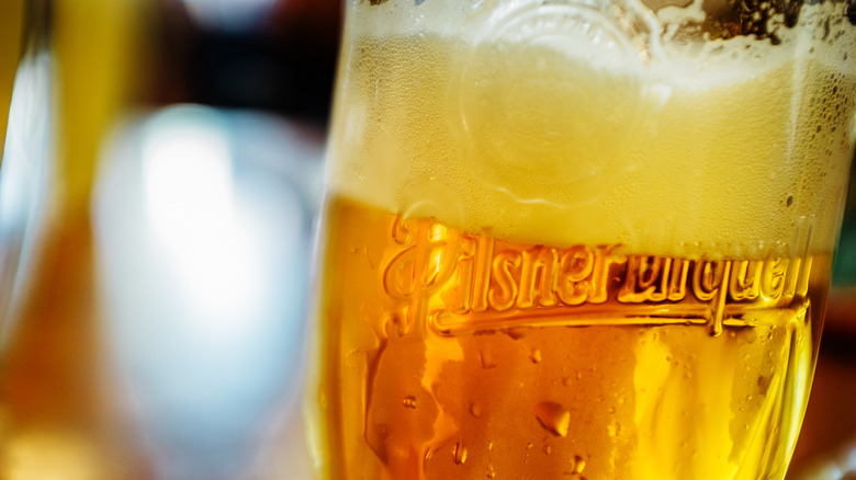 Close-up of a glass of German pilsner beer