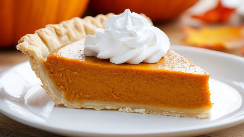 Slice of pumpkin pie on white dish, closeup.