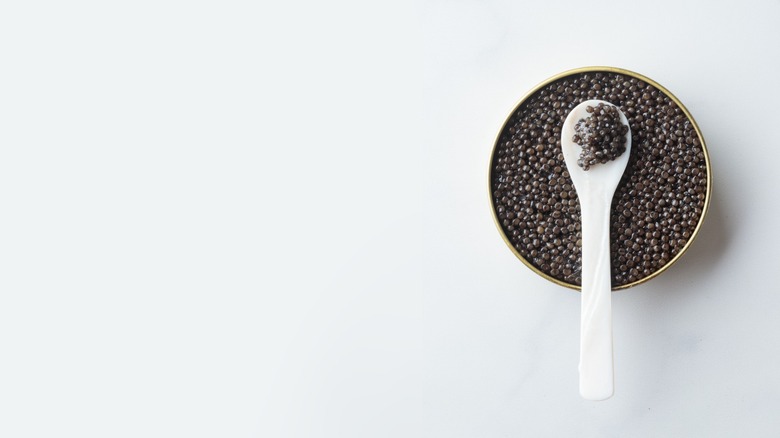 tin of black caviar with mother-of-pearl spoon