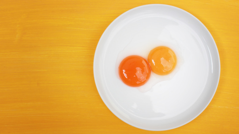 orange egg yolk and yellow egg yolk