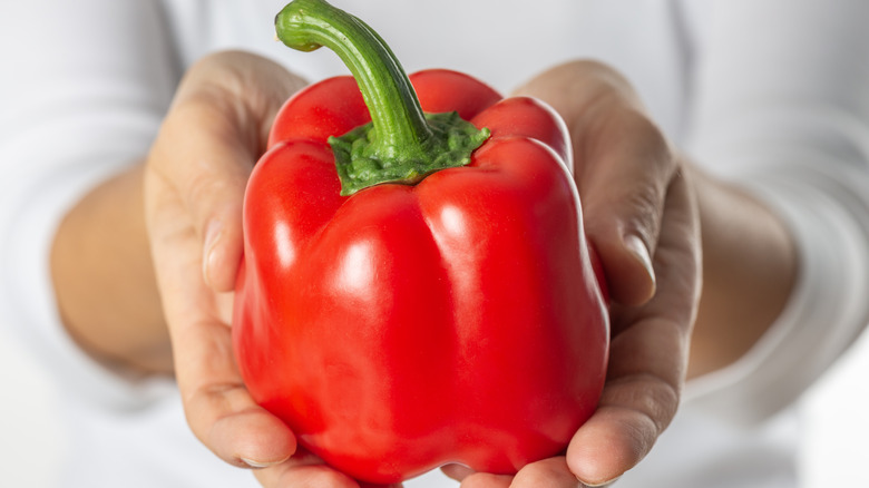 A red bell pepper in two hands
