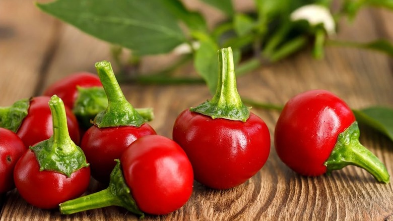 Hot cherry peppers