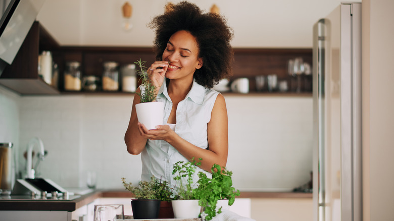 Woman holding a pot of fresh herbs