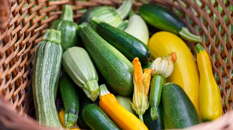 zucchini harvest in basket with zucchini blossoms