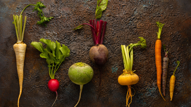 a line-up of root crops